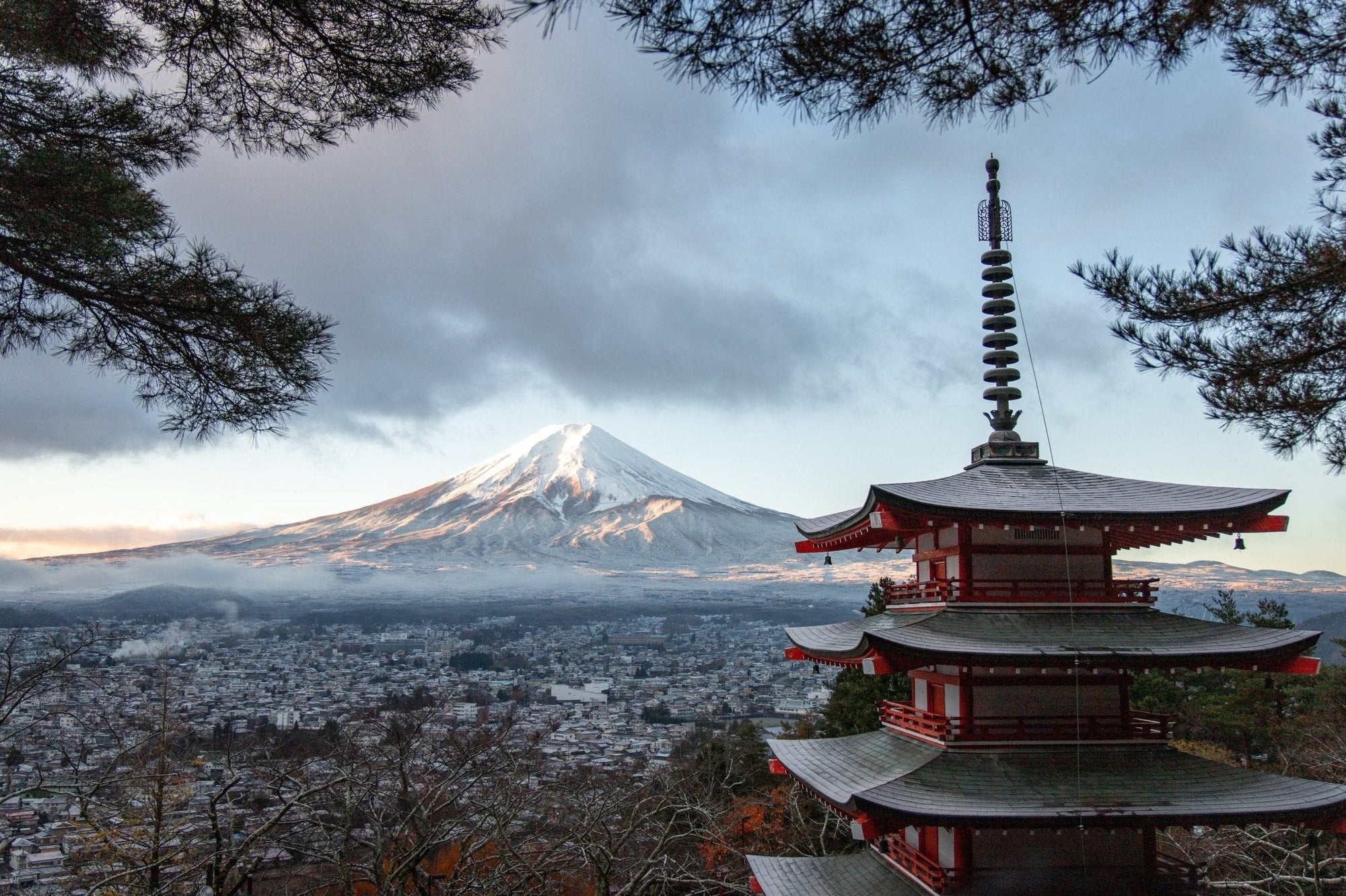 Explore The Japan Collection Featuring Mt. Fuji - North Drinkware