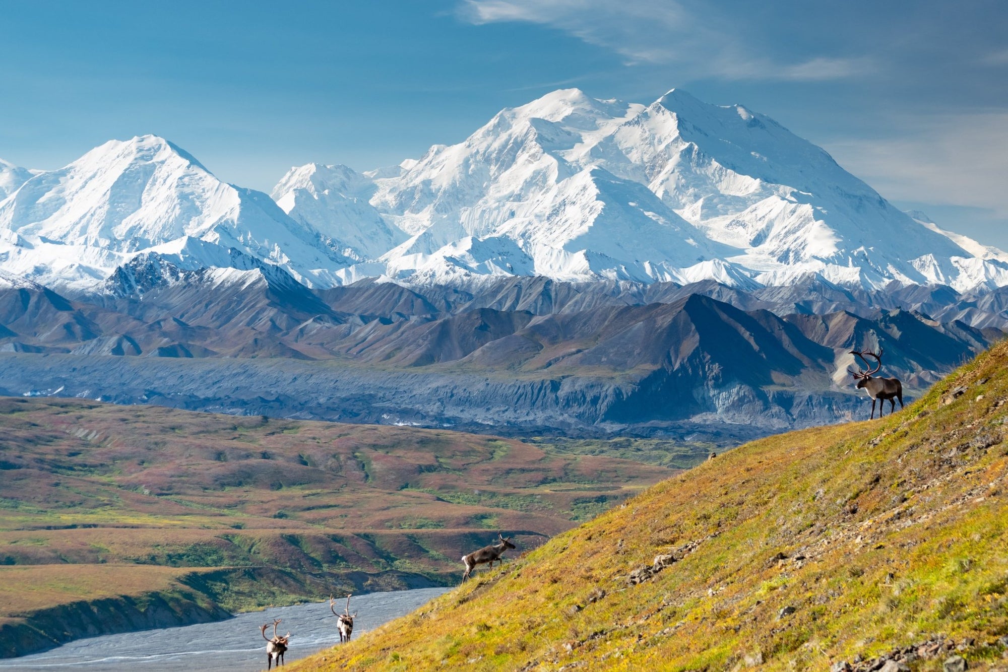 The Denali Collection - North Drinkware