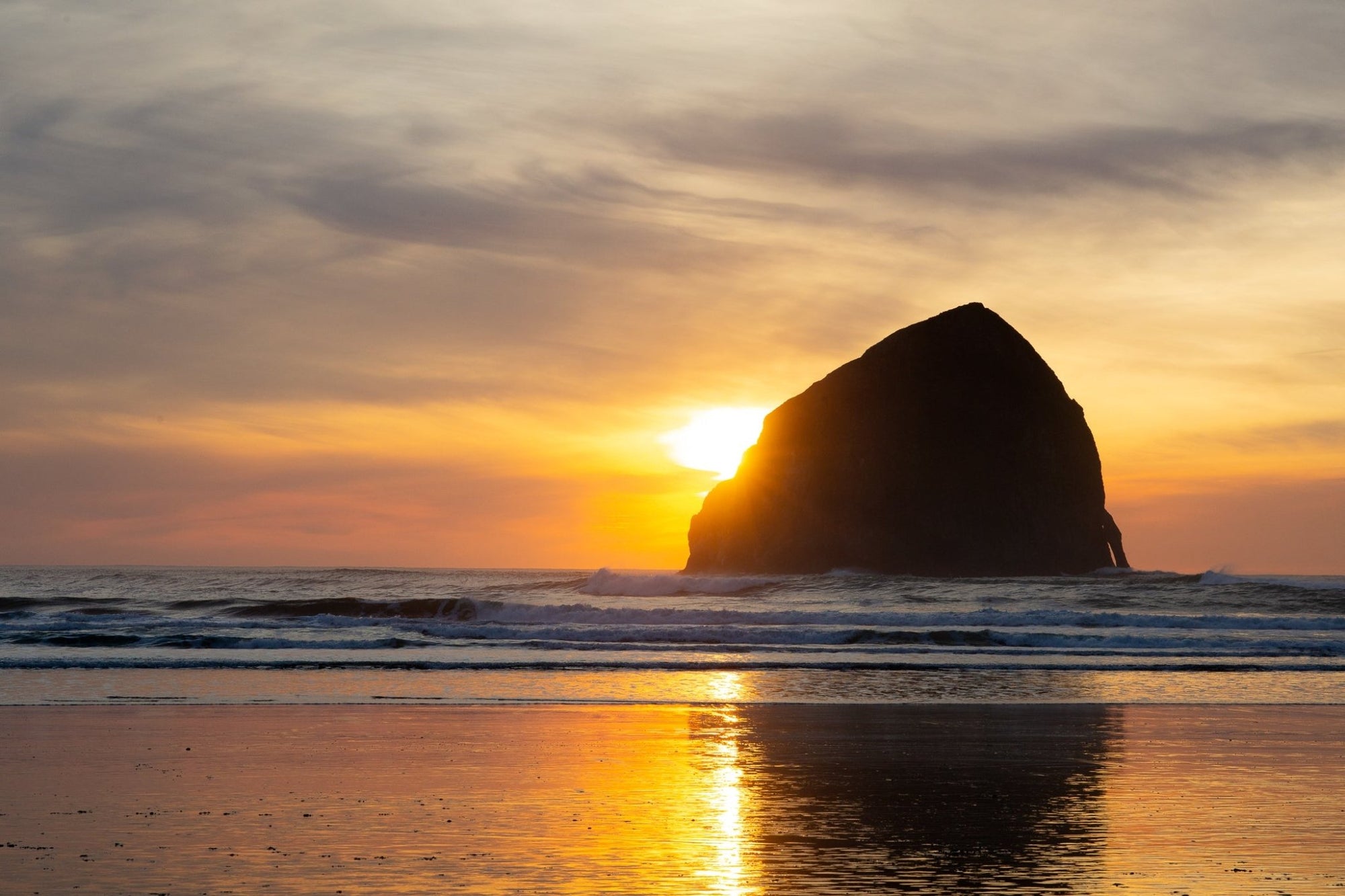 The Pacific City Collection - North Drinkware
