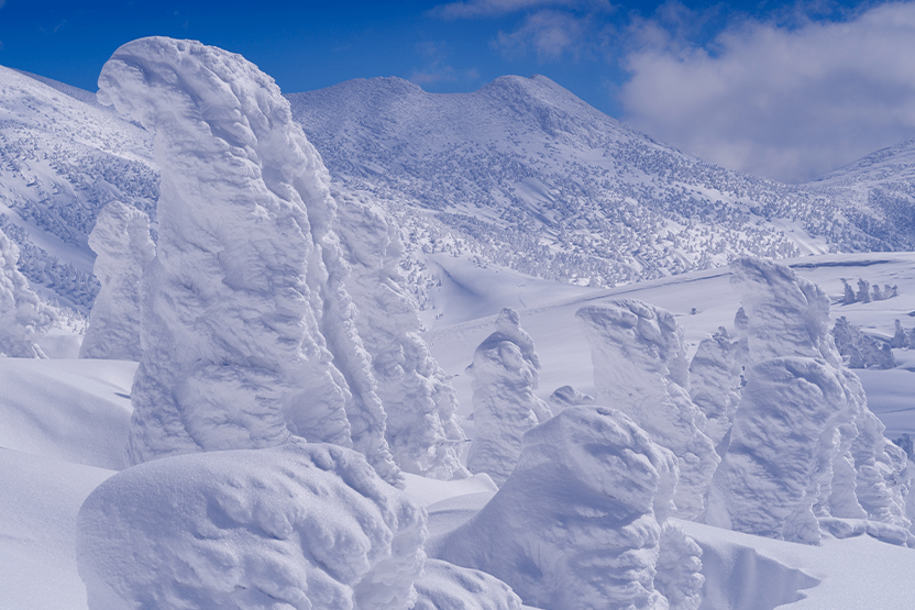 The Hakkoda Mountains Collection - Japan - North Drinkware