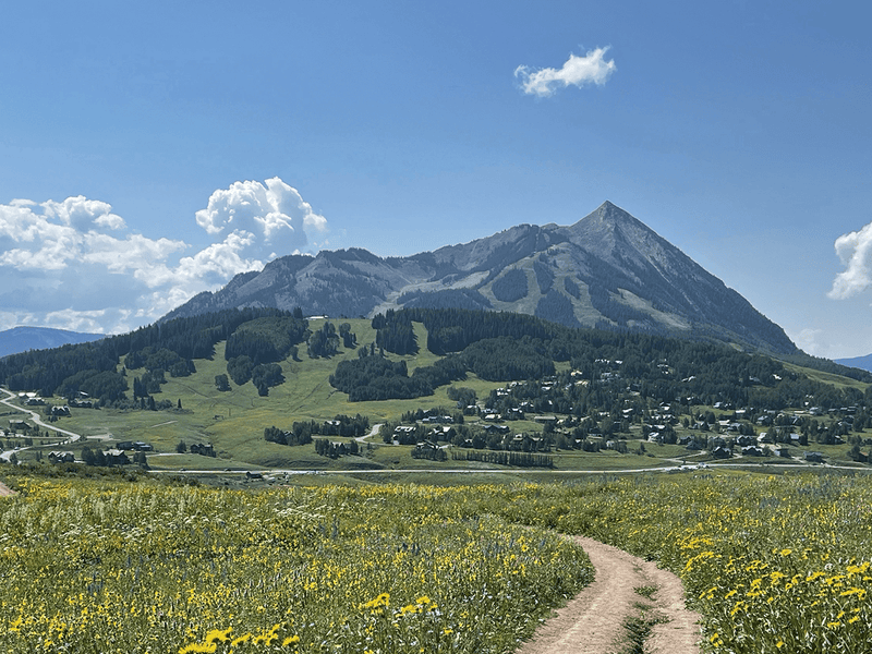 Crested Butte - North Drinkware