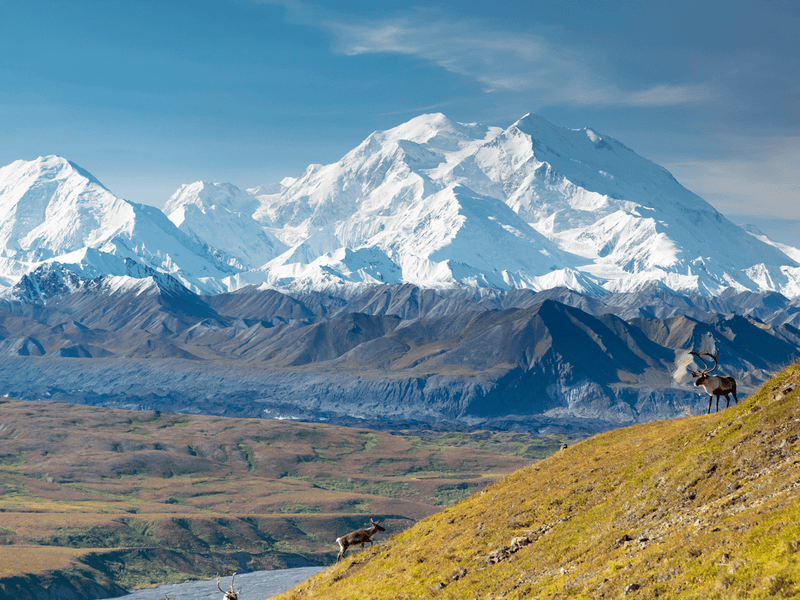 Denali - North Drinkware