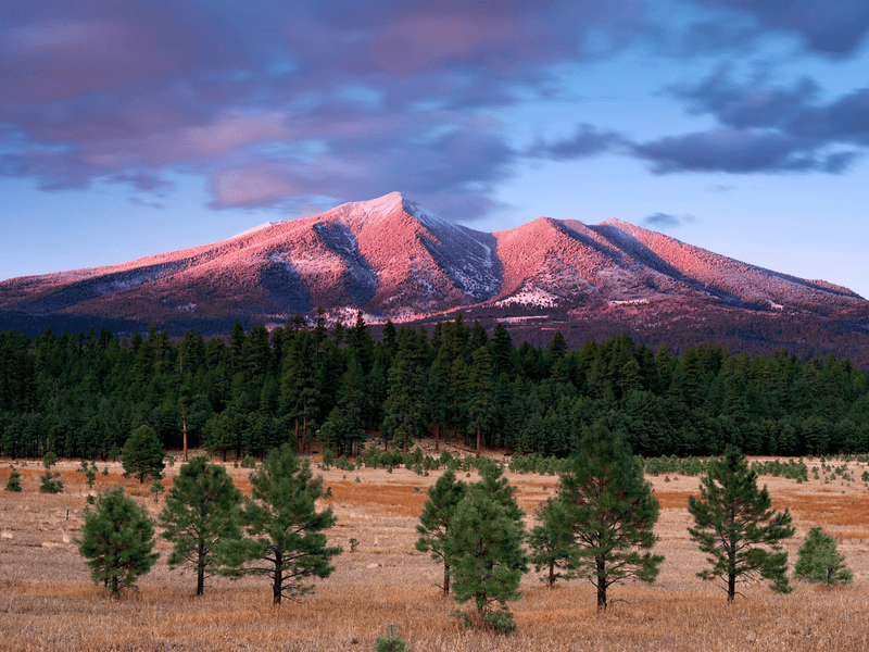 Humphreys Peak - North Drinkware