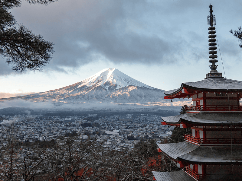 Mt. Fuji - North Drinkware