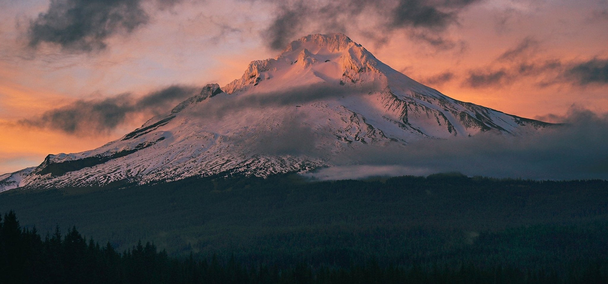 Oregon - North Drinkware