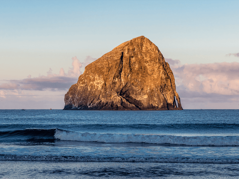 Pacific City - North Drinkware