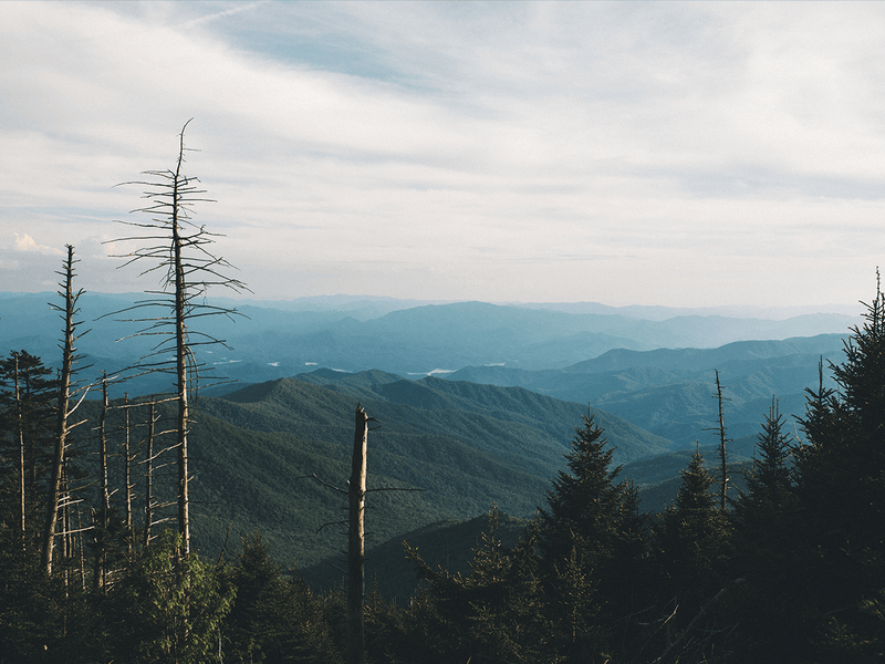 Smoky Mountains - North Drinkware