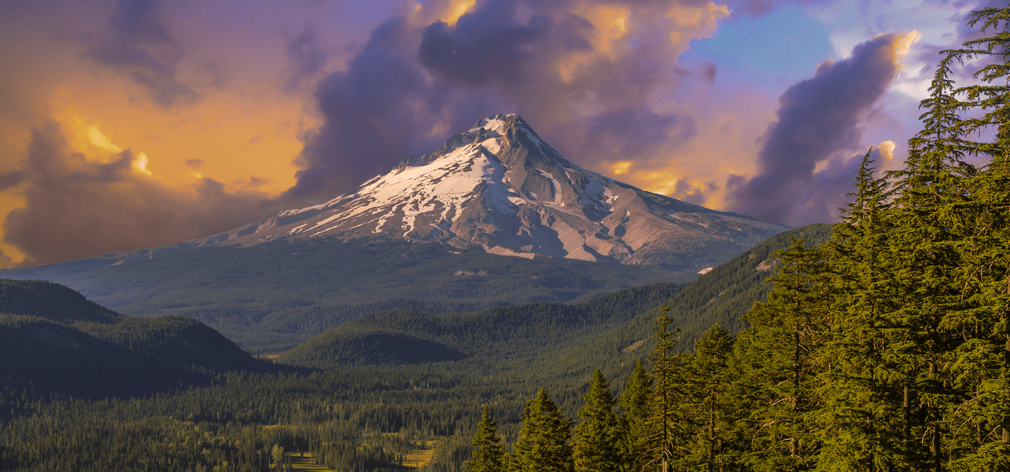 The PNW Collection - North Drinkware