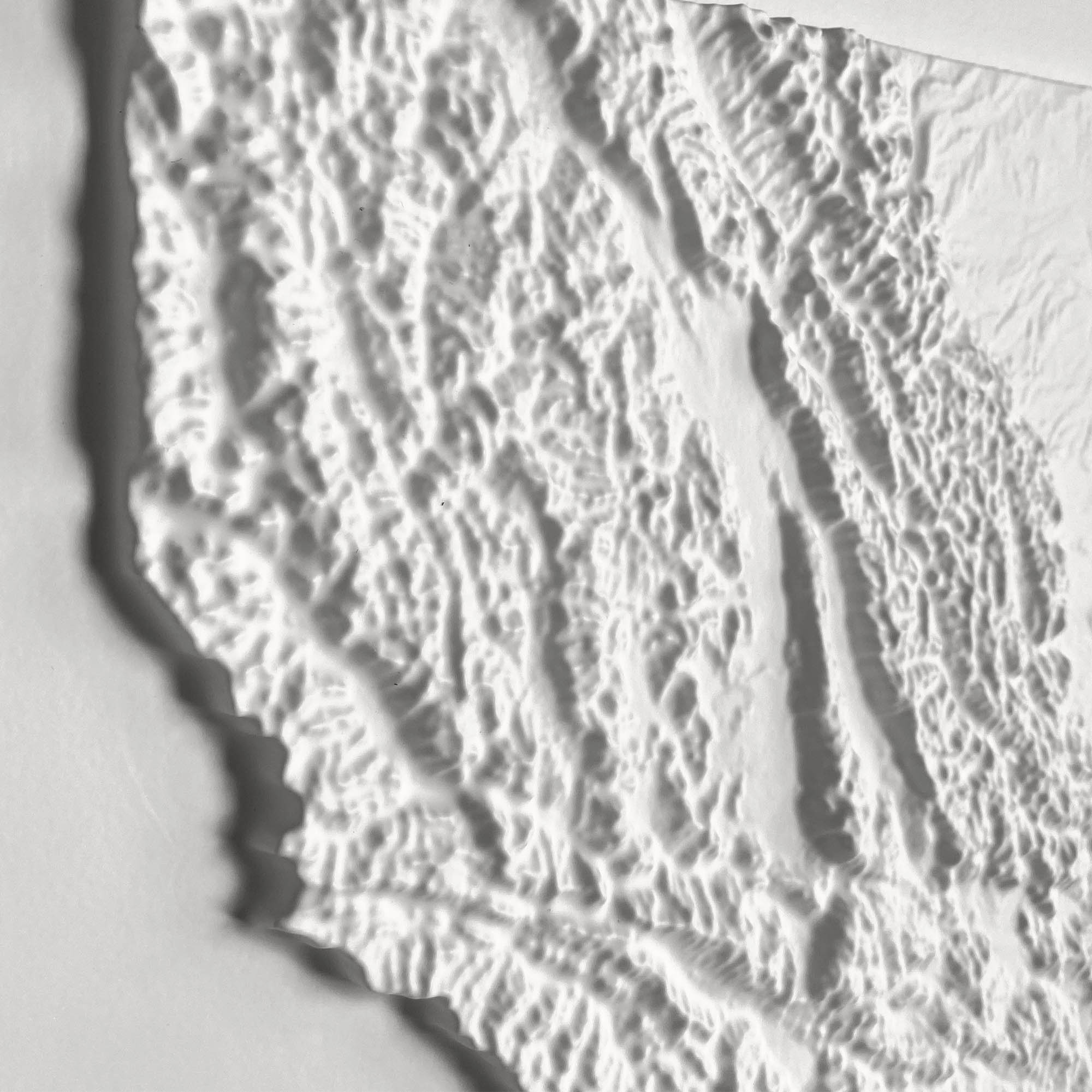 Montana - White 3D Raised Relief Map