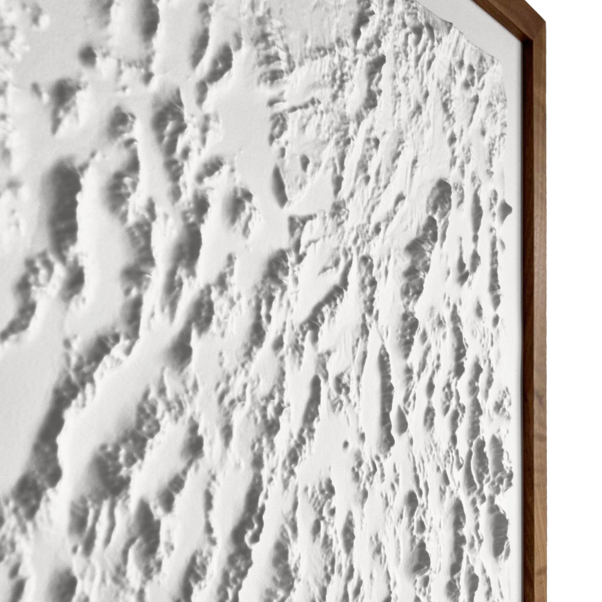 Nevada - White 3D Raised Relief Map