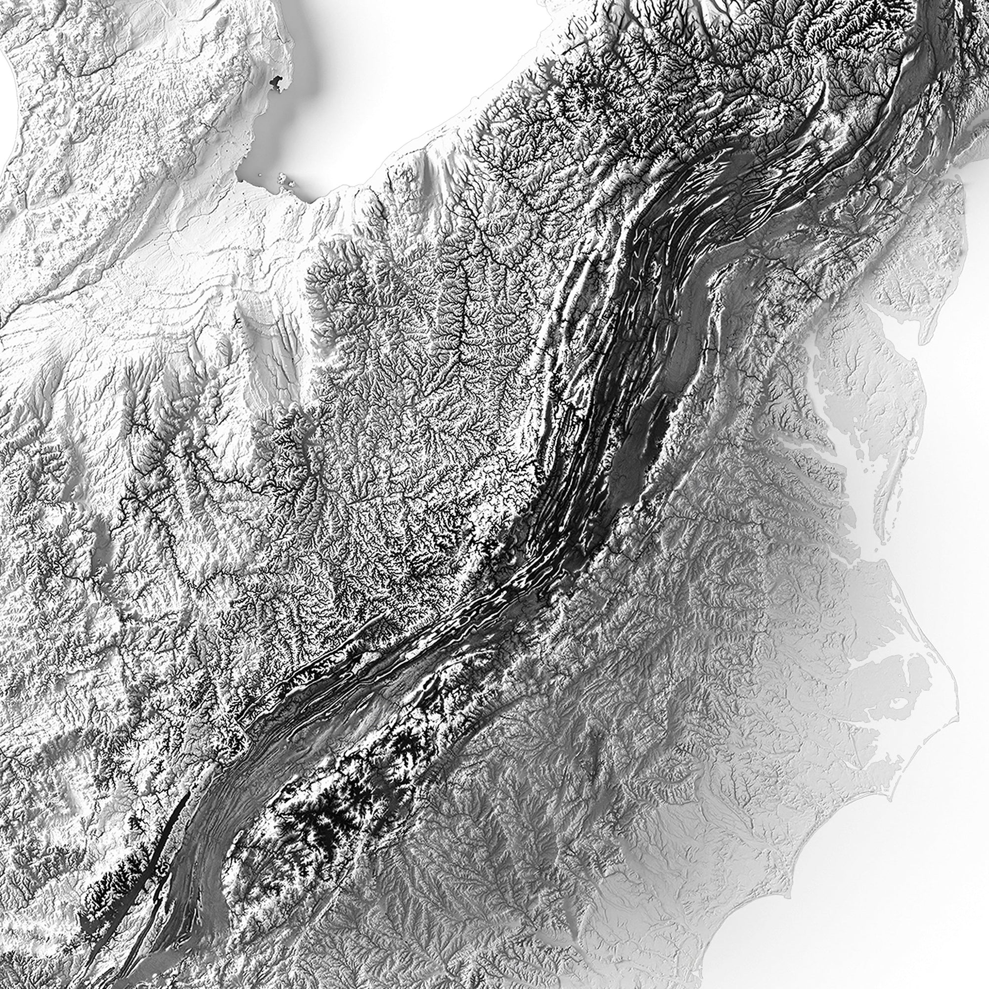 USA Elevation Map - No Frame