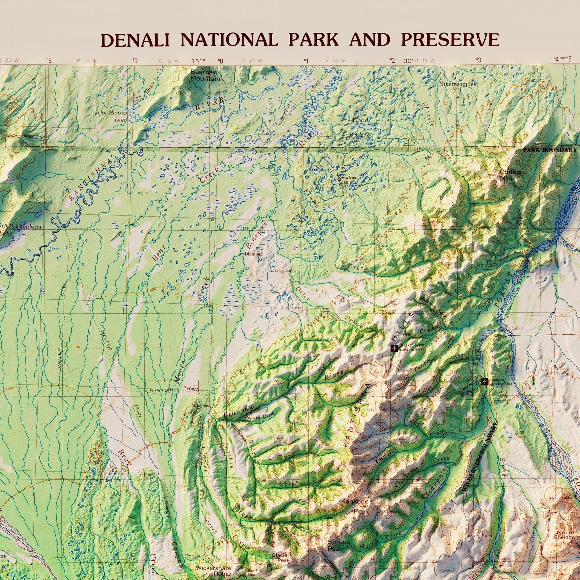 Denali National Park 1986 Shaded Relief Map - No Frame - North Drinkware