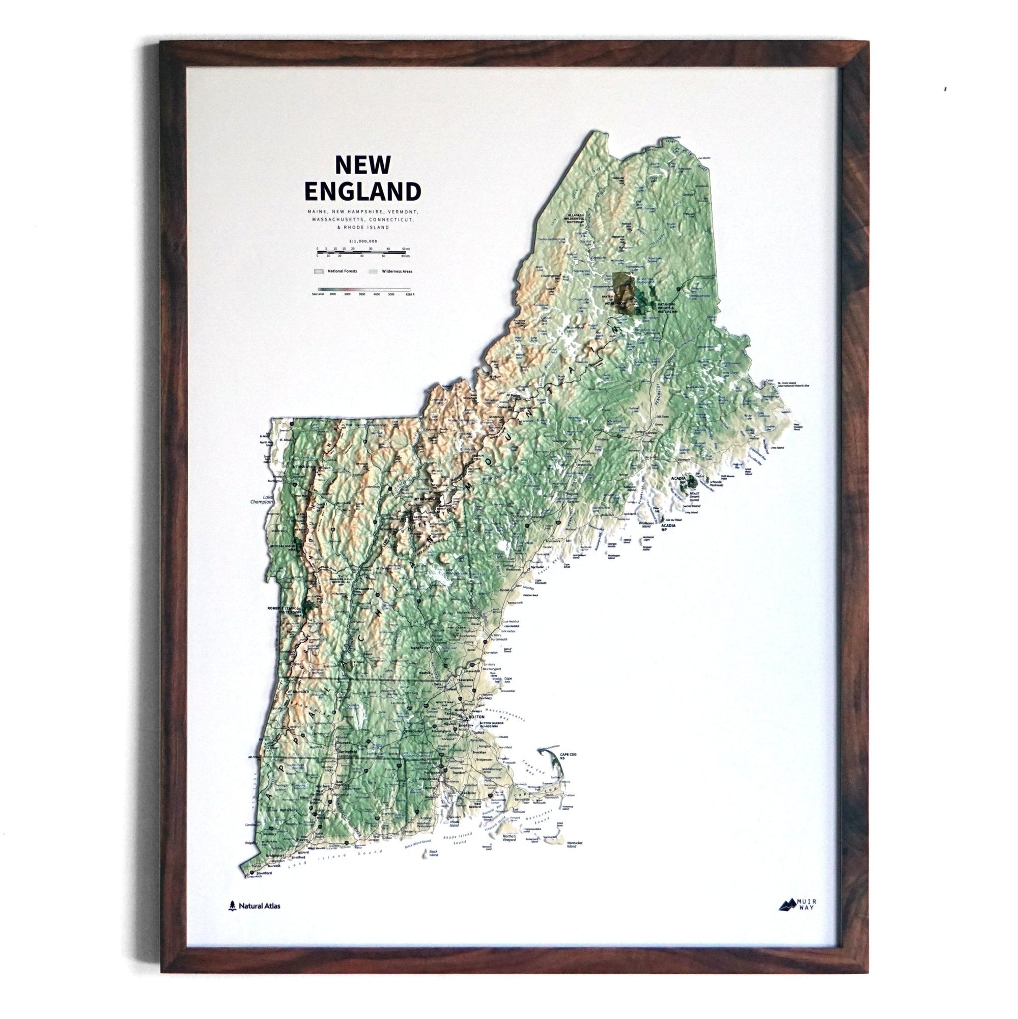 New England 3D Raised Relief Map - No Frame - North Drinkware