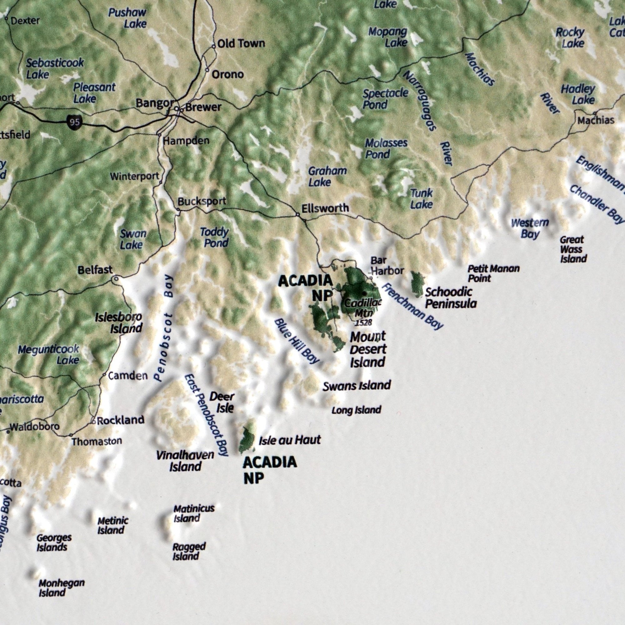 New England 3D Raised Relief Map - No Frame - North Drinkware