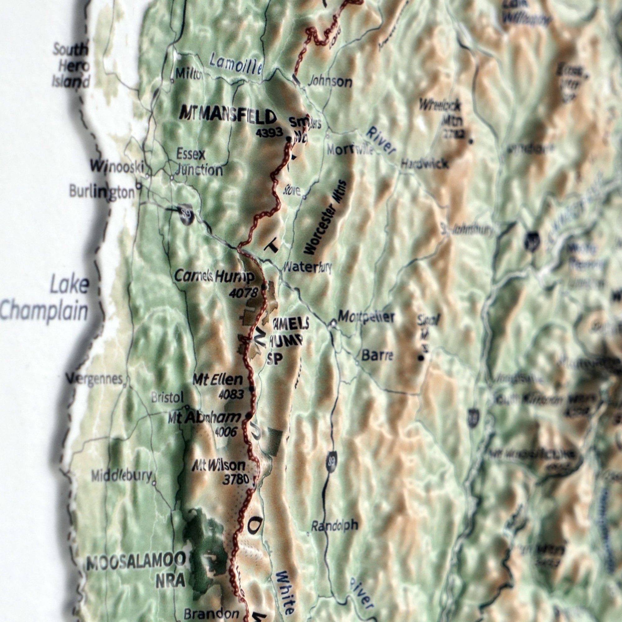 New England 3D Raised Relief Map - No Frame - North Drinkware