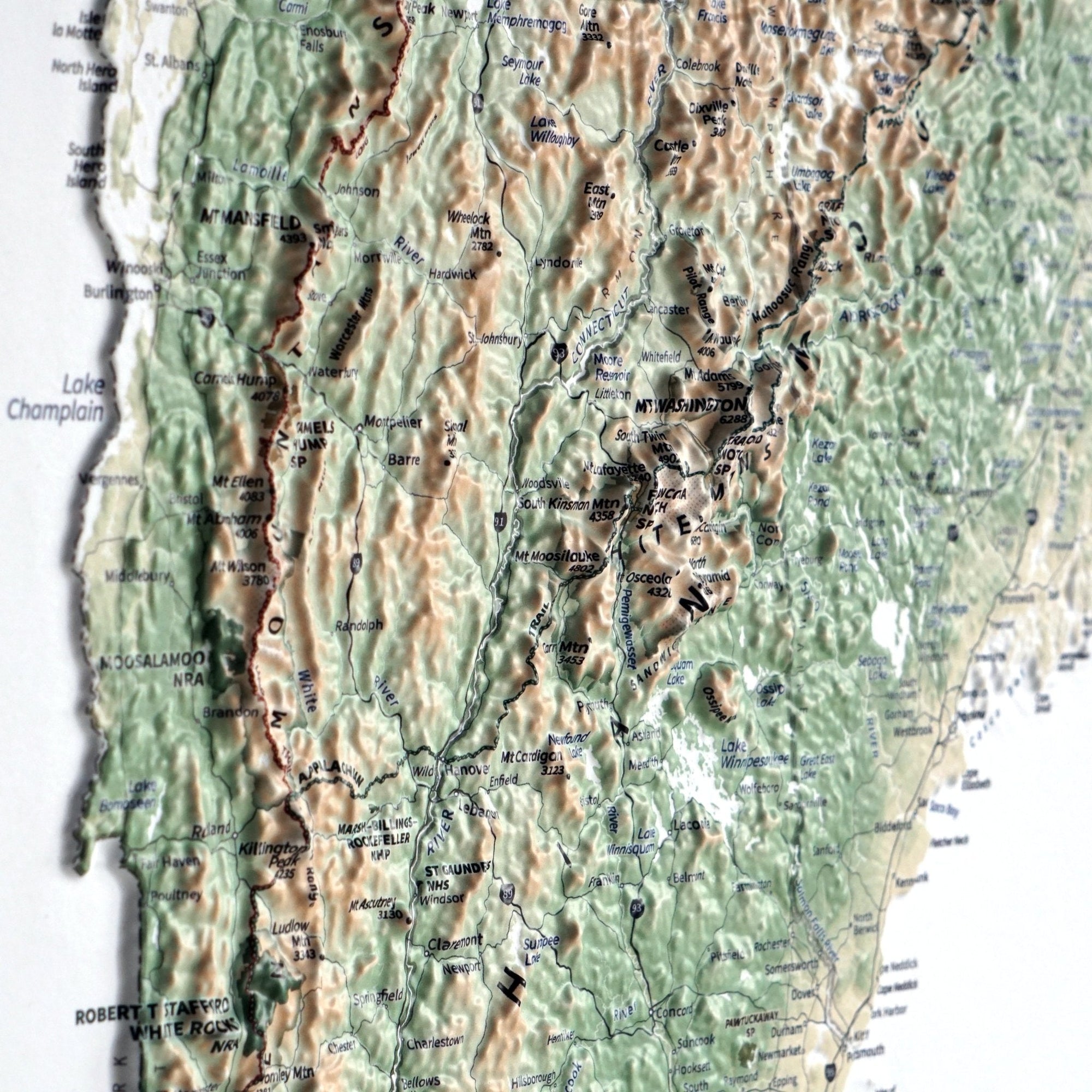 New England 3D Raised Relief Map - No Frame - North Drinkware