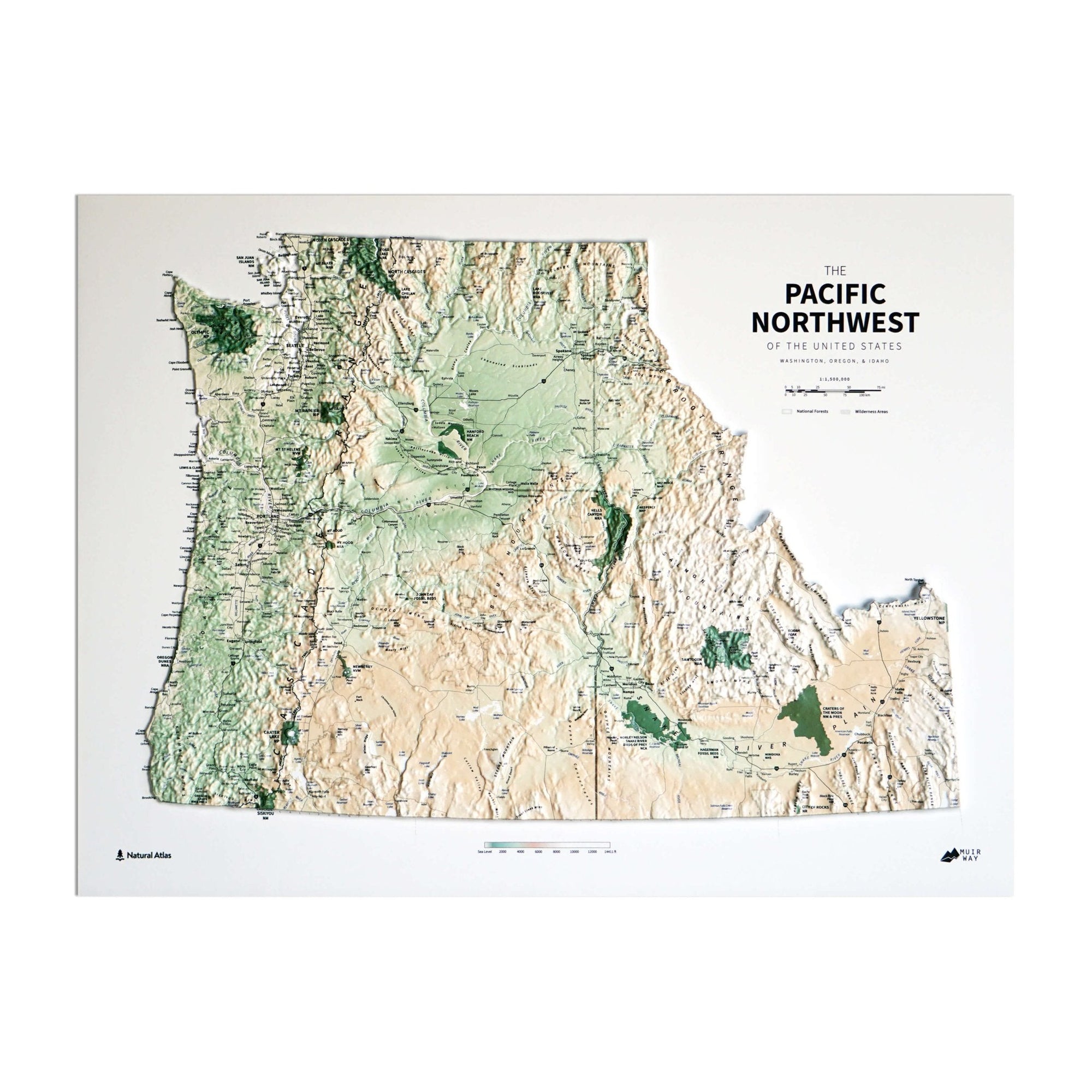 Pacific Northwest 3D Raised Relief Map - No Frame - North Drinkware