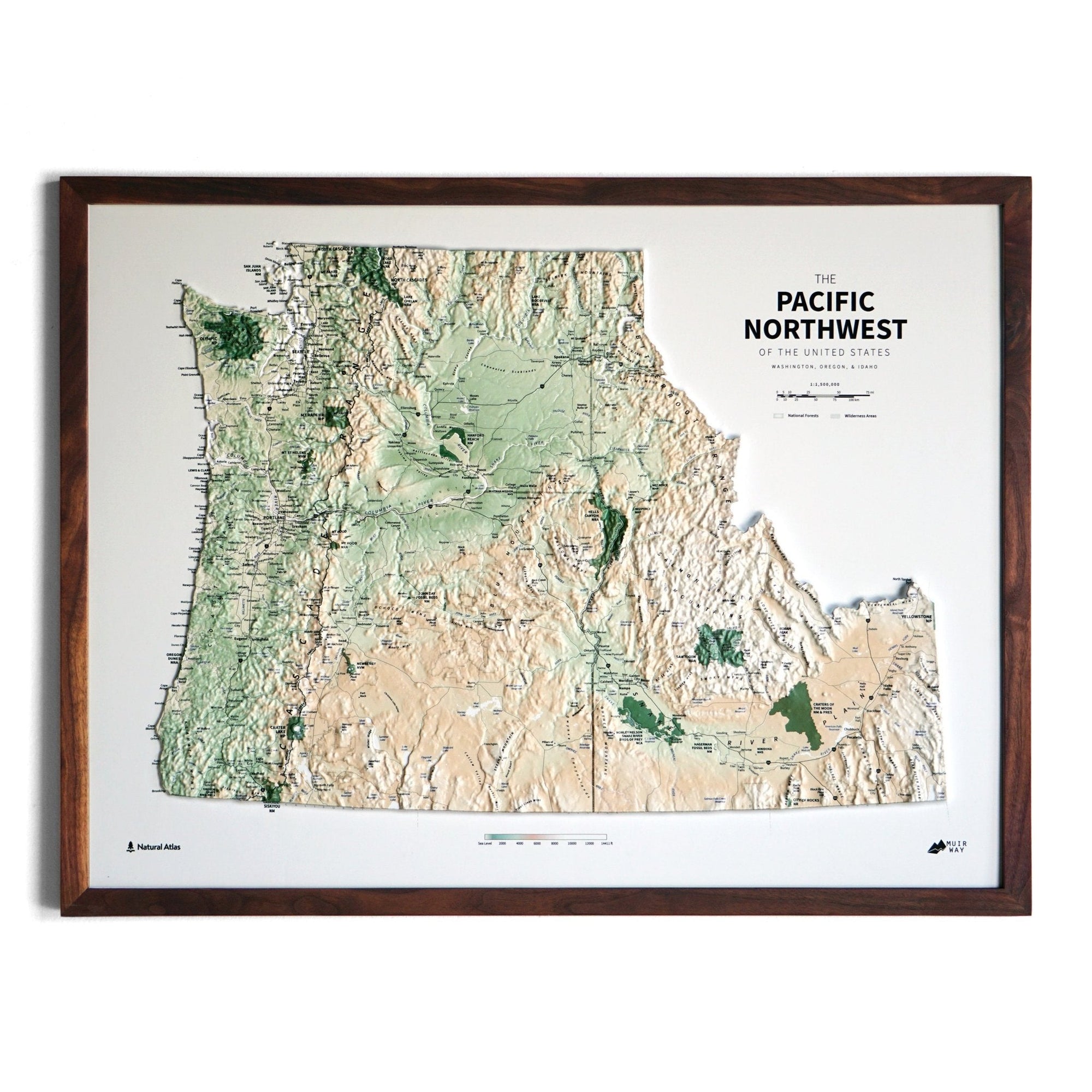 Pacific Northwest 3D Raised Relief Map - No Frame - North Drinkware