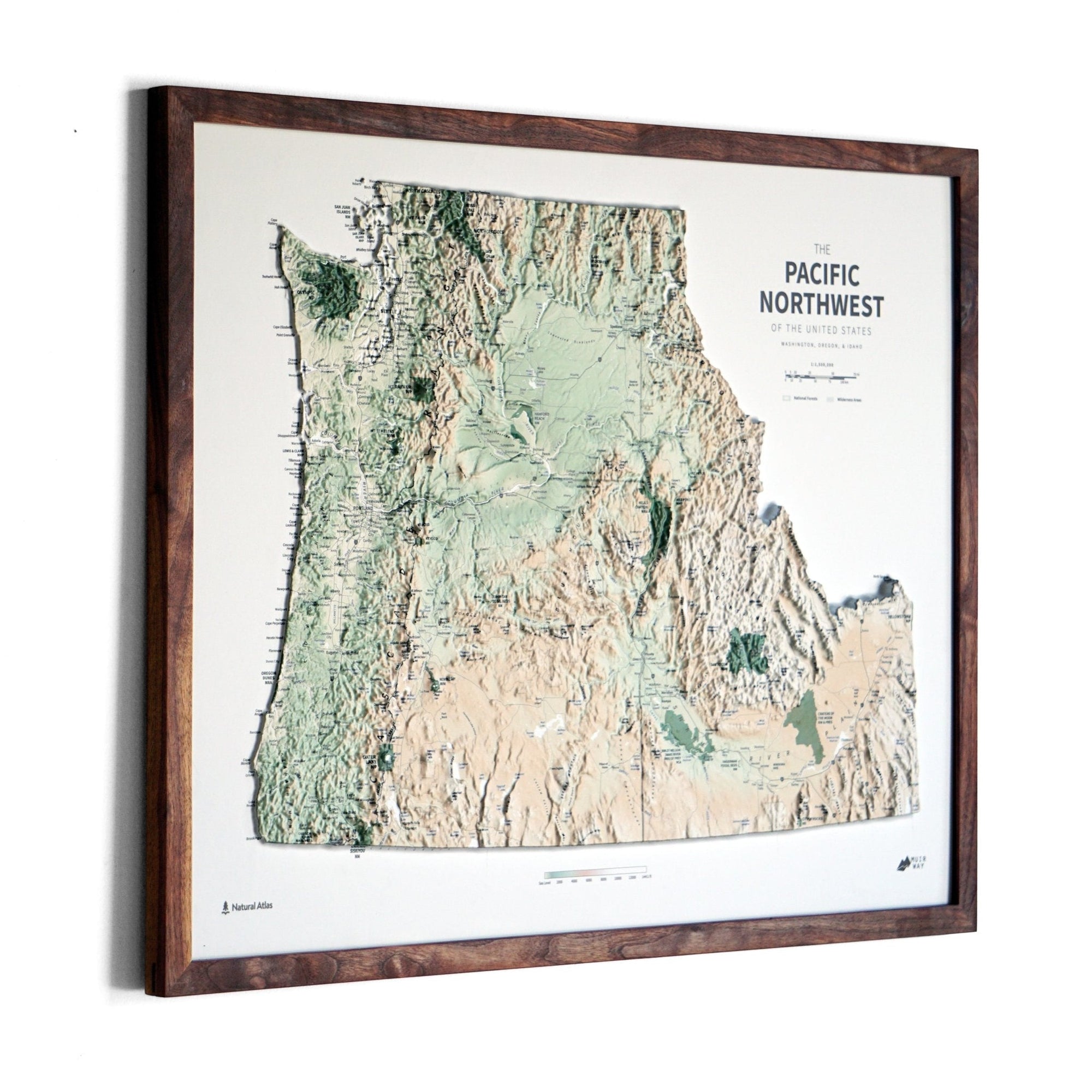 Pacific Northwest 3D Raised Relief Map - No Frame - North Drinkware