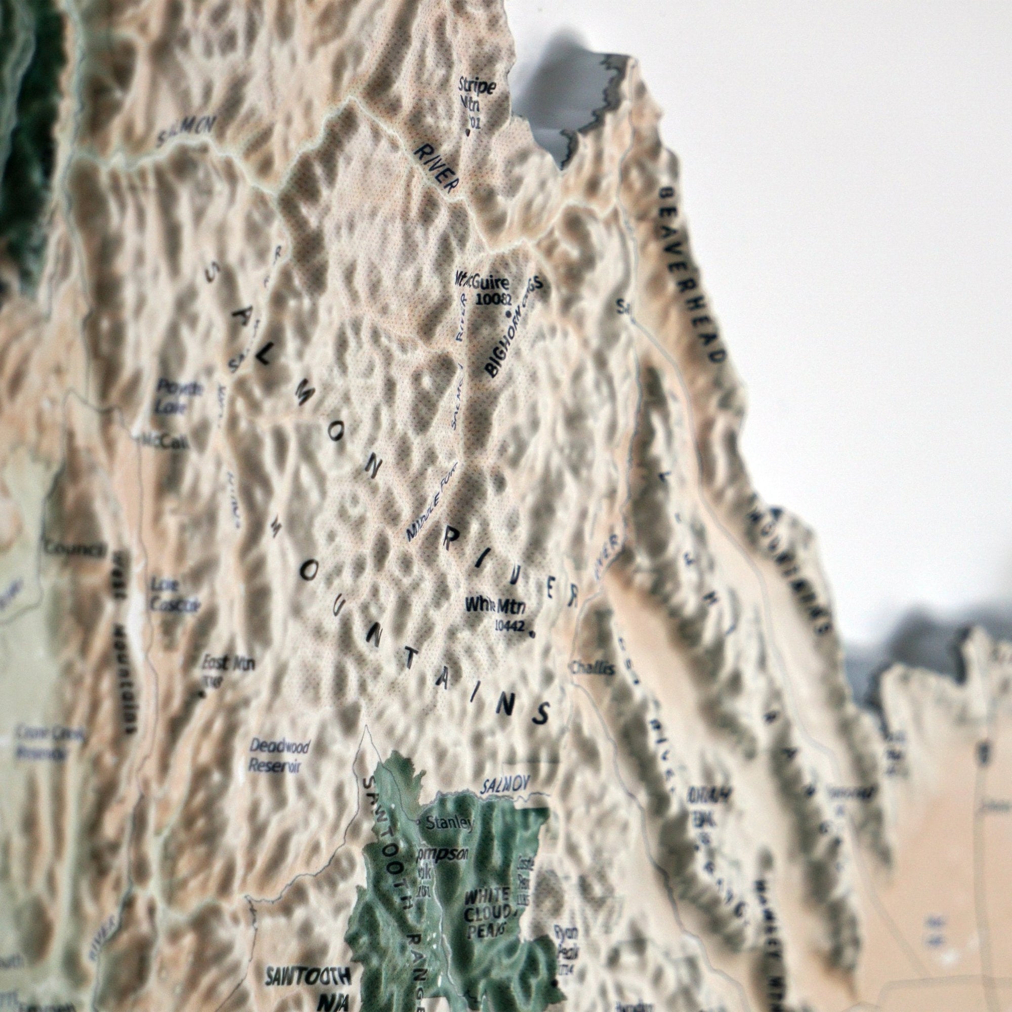 Pacific Northwest 3D Raised Relief Map - No Frame - North Drinkware