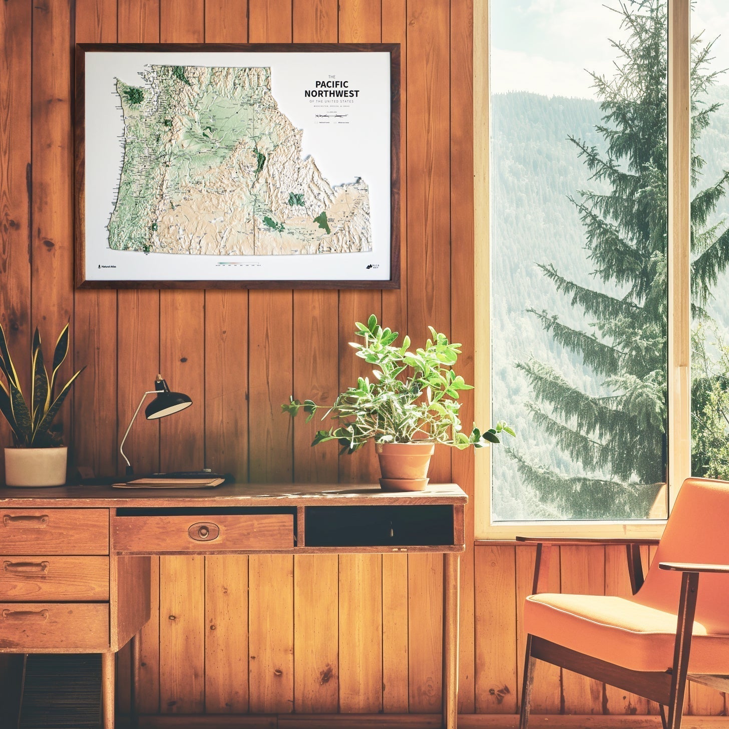 Pacific Northwest 3D Raised Relief Map - No Frame - North Drinkware