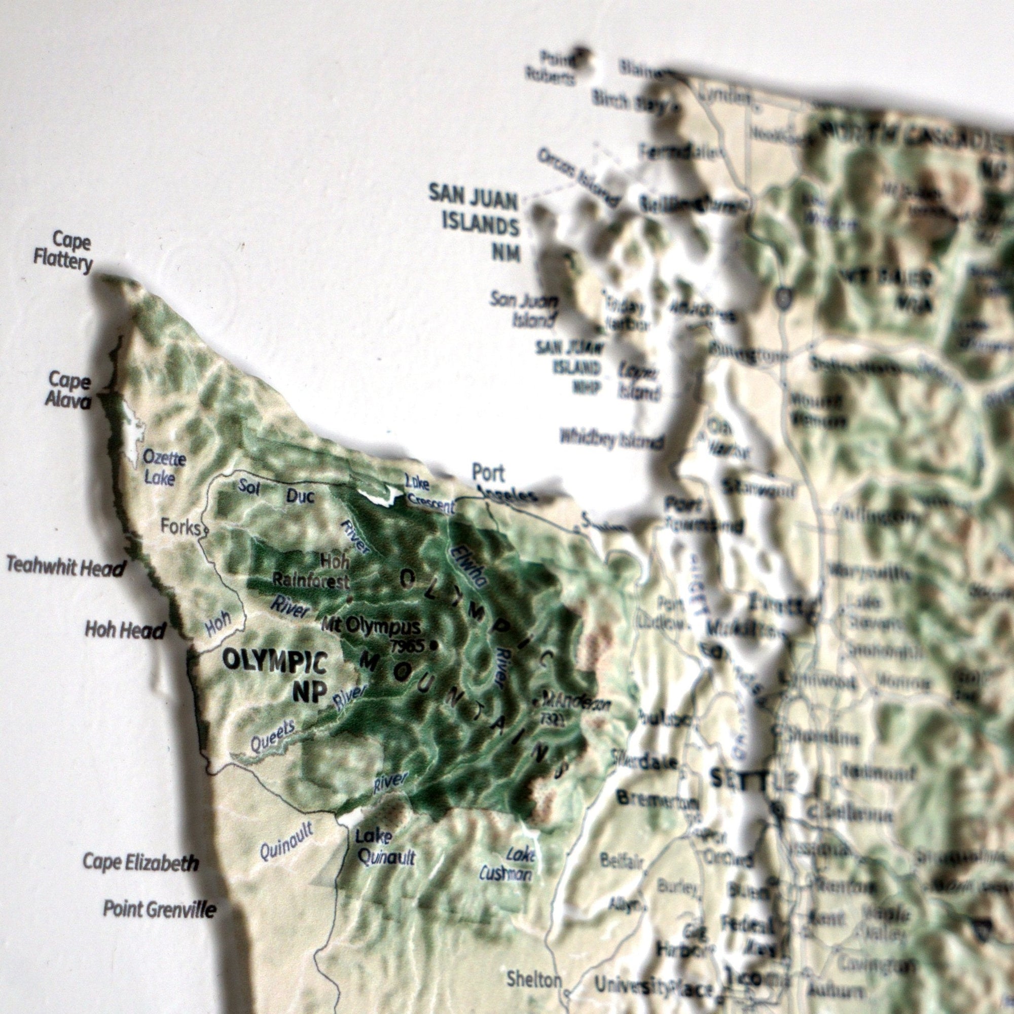 Pacific Northwest 3D Raised Relief Map - No Frame - North Drinkware