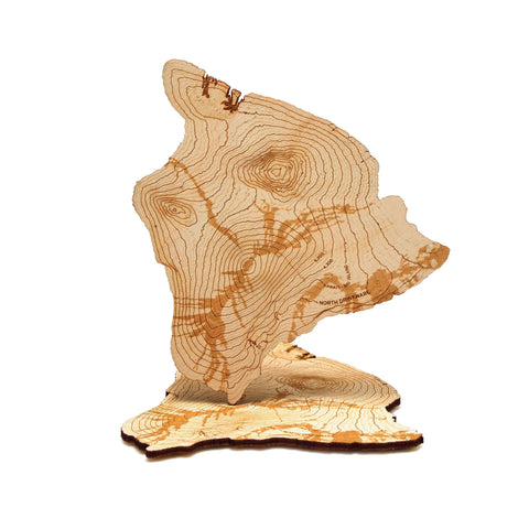 The Hawaiʻi Coaster Set