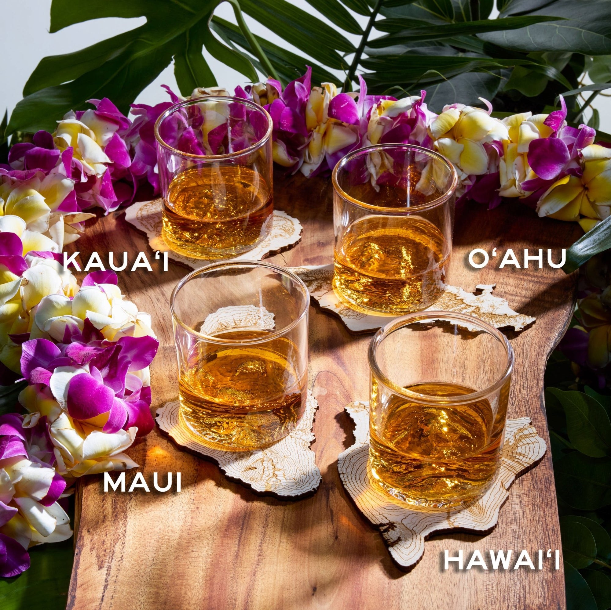 The Hawaiian Islands Coaster Set - North Drinkware