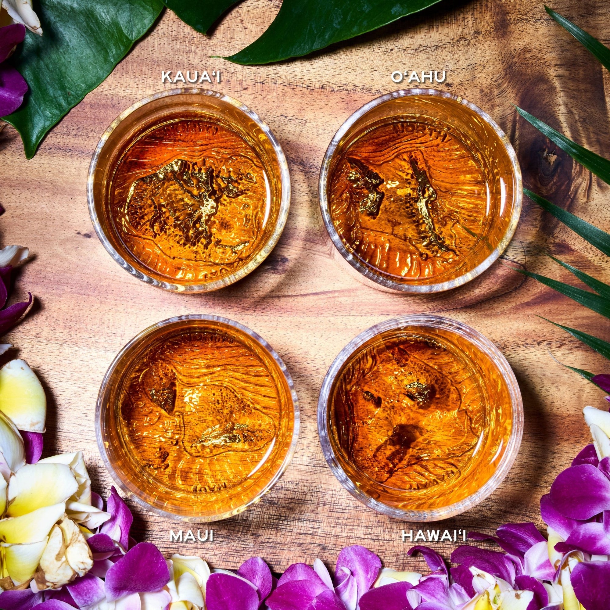 The Hawaiian Islands Tumbler Box Set - North Drinkware
