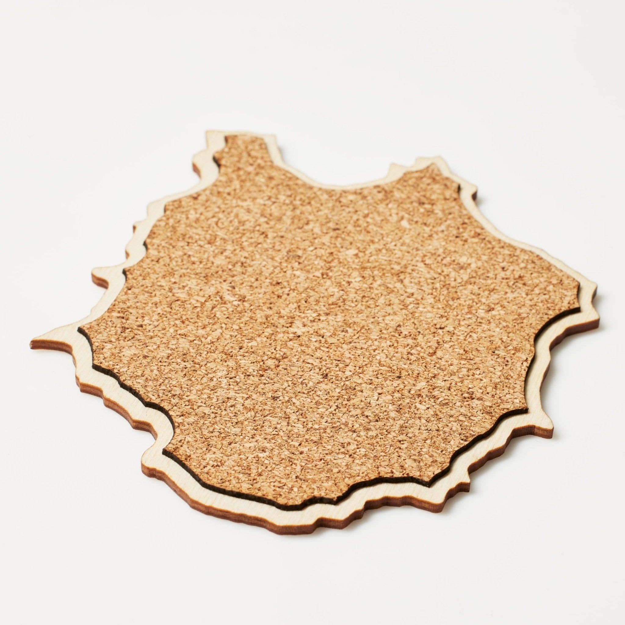 The Mt. Rainier Coaster | Set of Two | Custom Etched Wood